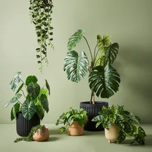 Artificial Plants