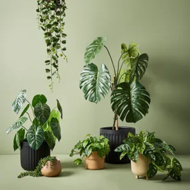 Artificial Plants
