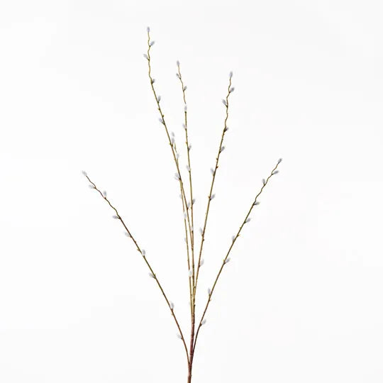 Pussy Willow Spray