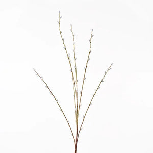 Pussy Willow Spray