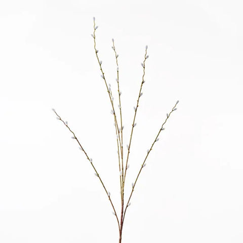 Pussy Willow Spray
