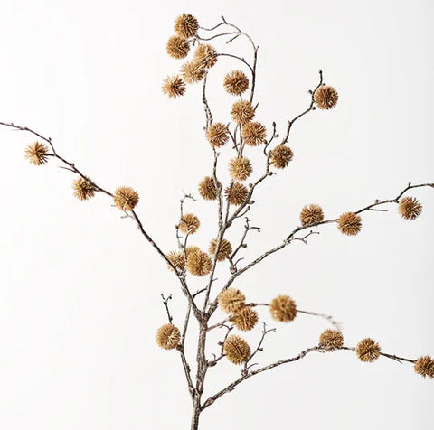Sycamore Spray
