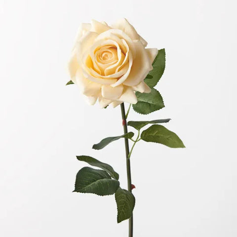 Rose Hannah