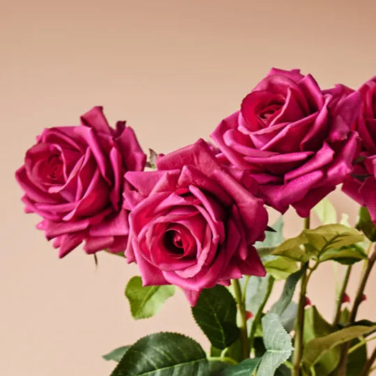Rose Hannah
