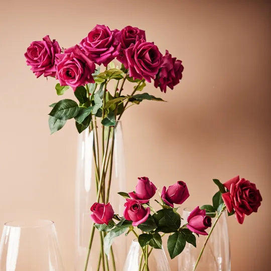 Rose Hannah
