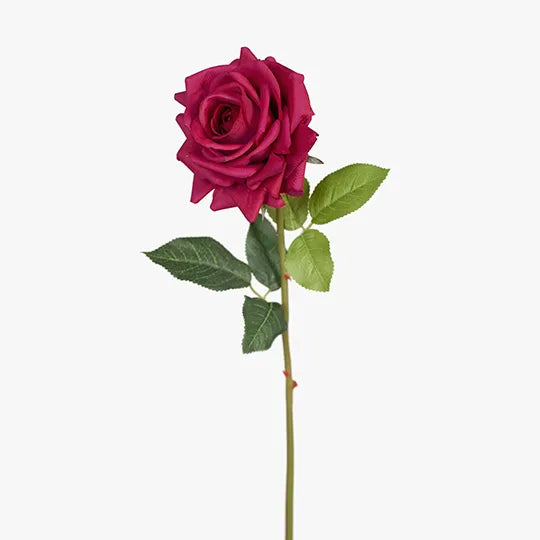 Rose Hannah