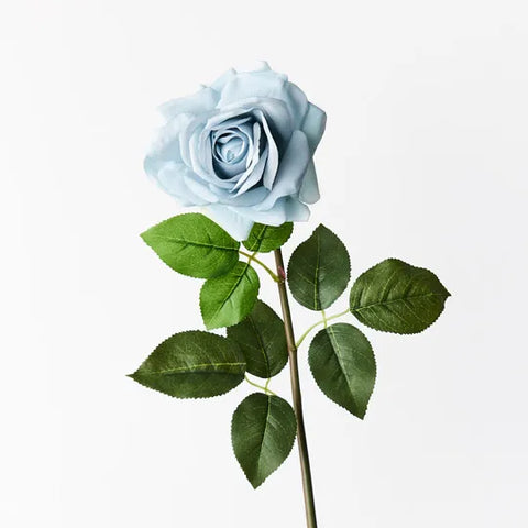 Rose Hannah