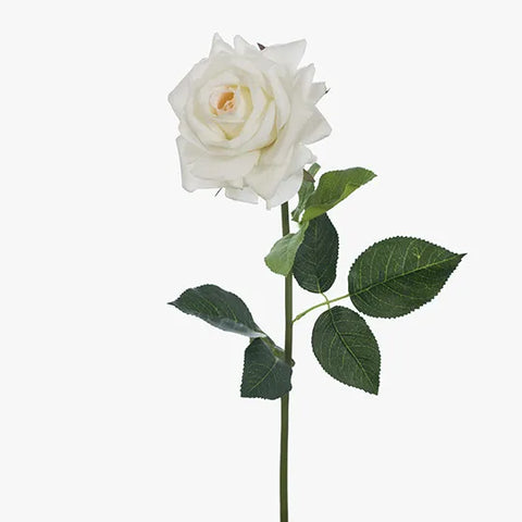 Rose Hannah