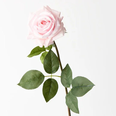 Rose Hannah