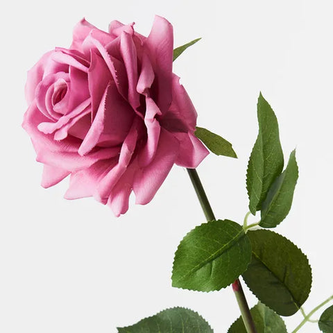 Rose Hannah
