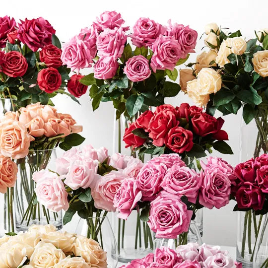 Rose Hannah