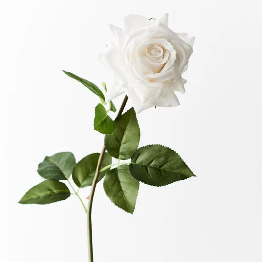 Rose Hannah