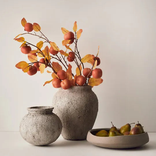 Persimmon Spray