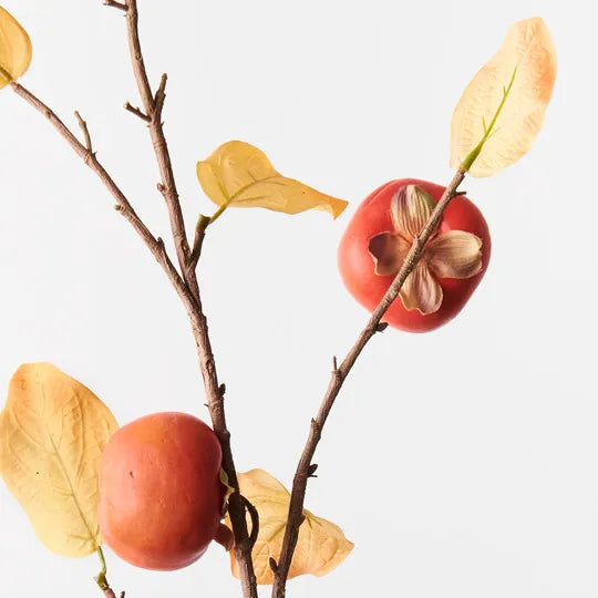 Persimmon Spray