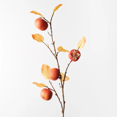 Persimmon Spray