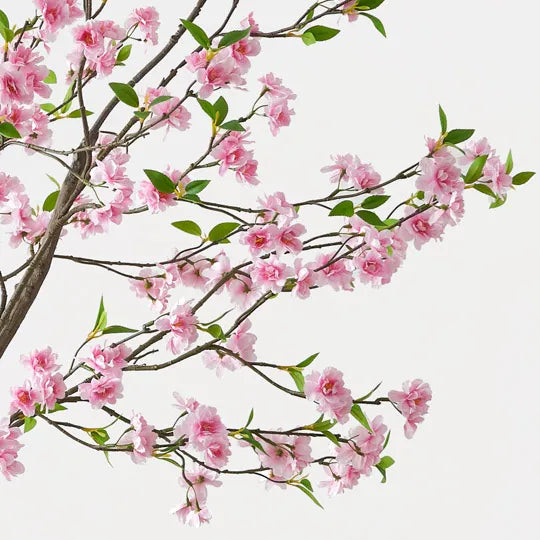 Blossom Tree