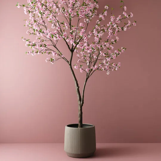 Blossom Tree