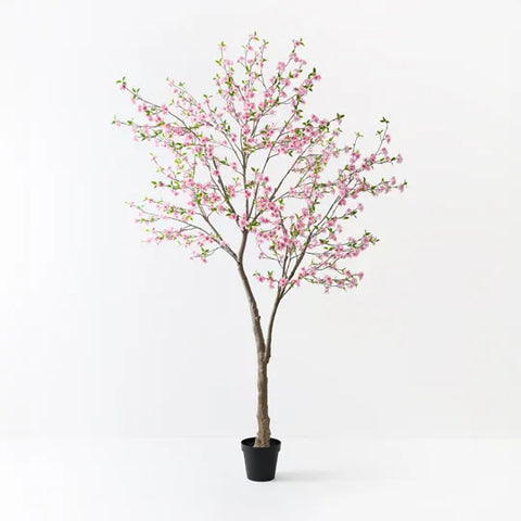 Blossom Tree