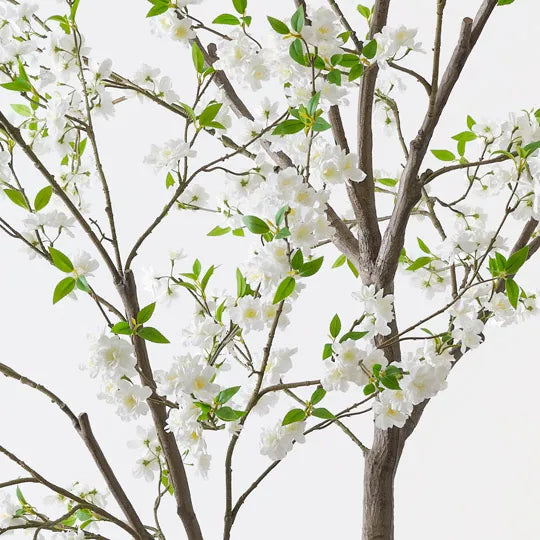 Blossom Tree