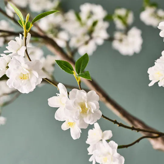 Blossom Tree
