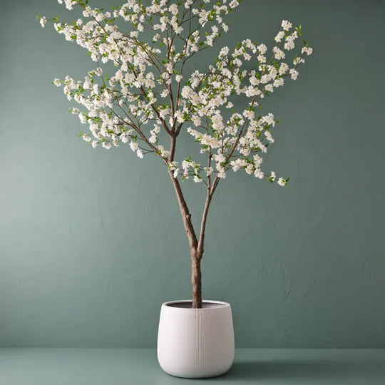 Blossom Tree