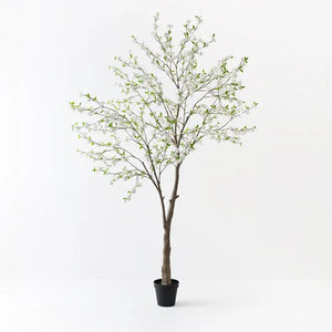 Blossom Tree