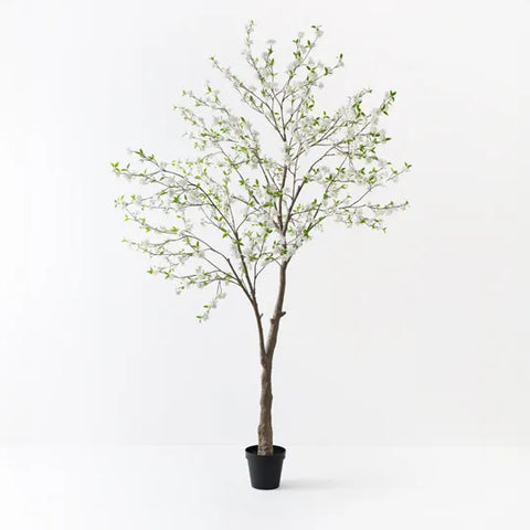Blossom Tree