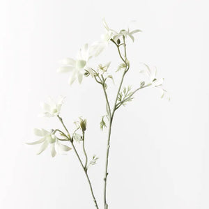 Flannel Flower Spray