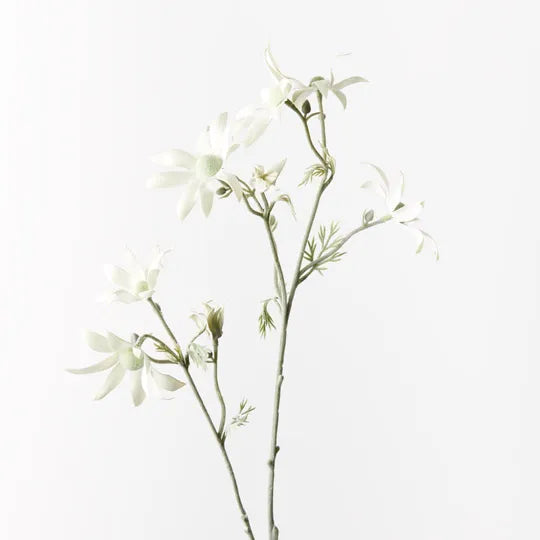 Flannel Flower Spray