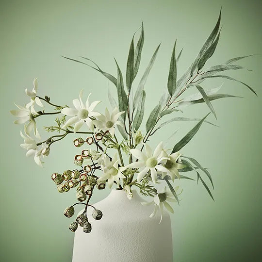 Flannel Flower Spray