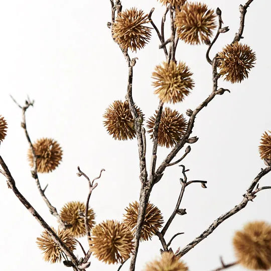 Sycamore Spray