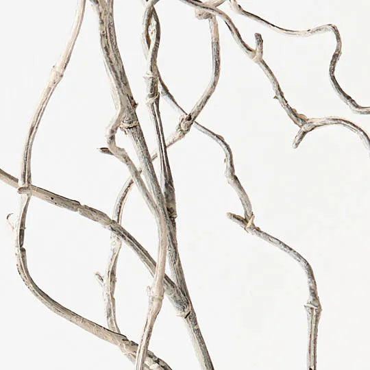 Twig Curly Willow Spray