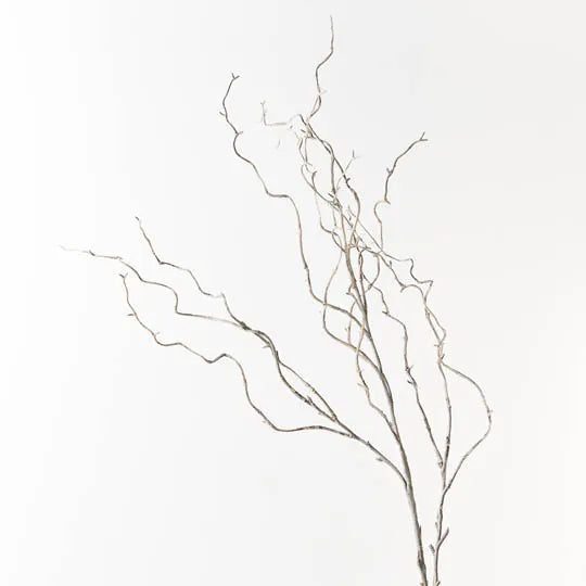 Twig Curly Willow Spray