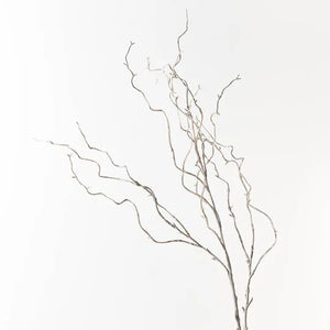 Twig Curly Willow Spray