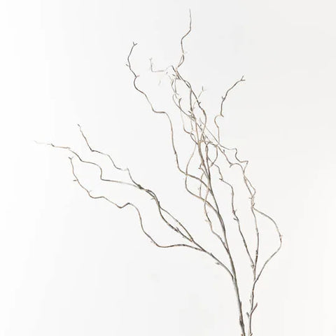 Twig Curly Willow Spray